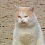 화려한 <b>조명</b>이