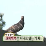 [드루와] <b>infp</b> ㅈㄴ 답답;고구마100개