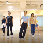 [레드벨벳] 레드벨벳 안무(춤) 짤 모음