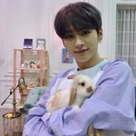 스트레이키즈 <b>리노</b>