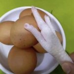 나 방금 실수로 죽인것같아.. 어떡해??