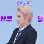 나 혼자 렌즈사로 갔다오까?