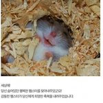 [댓글부탁해] <b>영어</b>학원 다니는 고딩들 드루와바