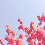 <b>시력</b> 좋은 사람 들어와 봐