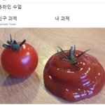 [댓글부탁해] 얘들아 도와줘