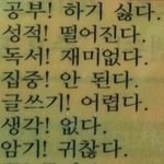 [댓글부탁해] 나 <b>쿠션</b>좀 골라줘 ㅈㅂ..골라주면 시험 볼때마다 죄다...