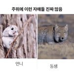 자매들아 니네 이거 공감함??