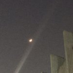그냥 <b>무용</b>쪽으로 갈걸...
