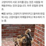 [드루와] 내일 우리 아빠 교도소 간다