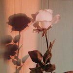 [드루와] 나 하비인데 7kg 뺐어!