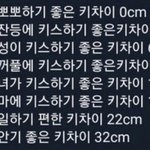 이거 <b>키차이</b> 짤 있잖아