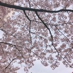 <b>대인</b>관계 원만한 사람들 부럽네