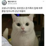 [댓글부탁해] 고1 <b>의대</b>갈수있음?