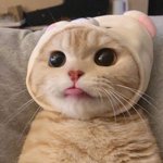 [EXO] 여기 해피그로 소시오패스 성향 오늘