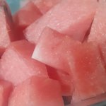 [NCT] 박카스줼리에 이어 <b>수박</b>