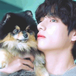 태형이는 <b>연탄</b>이바보
