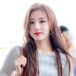 <b>미모</b> <b>꽃</b> 피워온 요정 아이돌