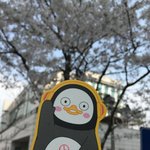 [댓글부탁해] 만세! 어이 어이 어이 어이 어이 어이 <b>어이</b>