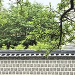 [드루와] 나 <b>보정</b>해봤는데 어때