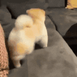 [댓글부탁해] 아 나 <b>기미</b> 계속 생겨 미치겠네ㅠㅠ