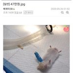 새학기 친구랑 친해지는 대화 <b>주제</b> <b>추천</b>해줘ㅠㅠㅠㅠ