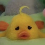 [댓글부탁해] 나 진짜 <b>불안</b>해 미칠거같아