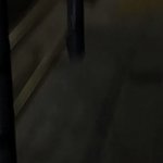 [댓글부탁해] 프블 누가 <b>맛</b><b>잇</b>댓냐