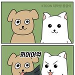 [드루와] 이어폰 에어팟 자주 끼는 애들아