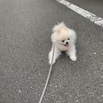 와 ㅁㅊ 나 드디어 얼굴살 빠진다