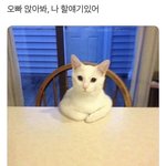 [드루와] 고1들 추반 해줭줭줭줭줭