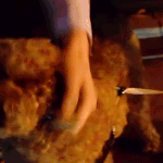 [EXO] <b>세호</b>니가 강아지를 귀여워해주는 방법ㅋㅋㅋ