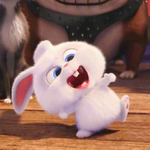 <b>이</b> 토끼 캐릭터 이름 <b>모임</b>??