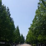 날씨 좋다