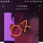 [EXO] 팬덤 스밍 왤케 빠진거임
