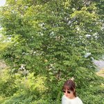 슬기로운의사생활 <b>안은진</b>님 티