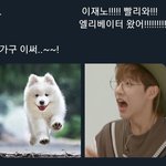 [댓글부탁해] 내 엠비티아이 맞춰봐랑