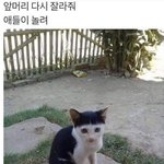 [추반] 너넨 이쁜 애들한테 예쁘다고 잘 말해줌?