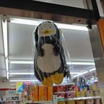 [꼭조언부탁] 아기 <b>펭귄</b>을 천장에 매달아 놓은 편의점 동물학대로...