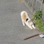 예민보스 남친vs곰탱이같은 <b>무던</b>한남친