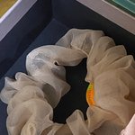 [드루와] 곱창밴드 이거 구리나??