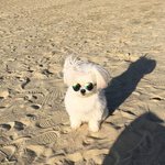 [드루와] (심각)<b>사람</b>한테 번호 물어본적 있는<b>사람</b> <b>손</b>!!