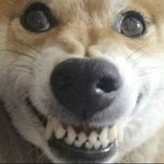 너네 <b>지역</b> <b>특성</b>화애들 다 양아치야?