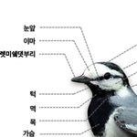 안녕 <b>쟈</b>기?