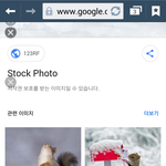 흰<b>눈속</b>의 성탄절다람쥐