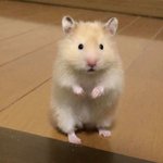 [19] 얘들아 물건 4일 내내 결제<b>완료</b>인데
