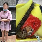 “내려가기 귀찮아!”…아파트 15층서 쓰레기 던진 여성