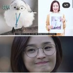 슬의 송화쌤 이거 닮은거 알음?