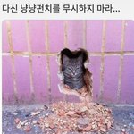 [댓글부탁해] 이 <b>고영</b>휘 무섭다 추반ㄱㄱ