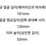 [댓글부탁해] 고양이 키우는 애들있어??