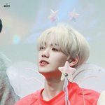 우리 <b>말</b><b>티쥬</b> 체고